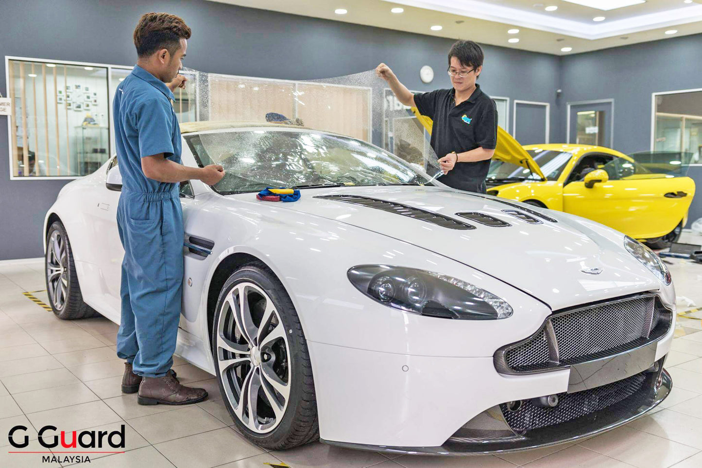 windscreen protection film
