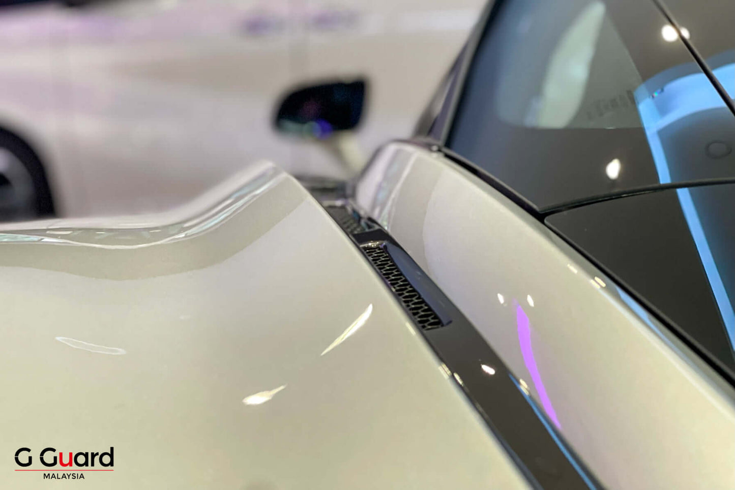 paint protection film malaysia